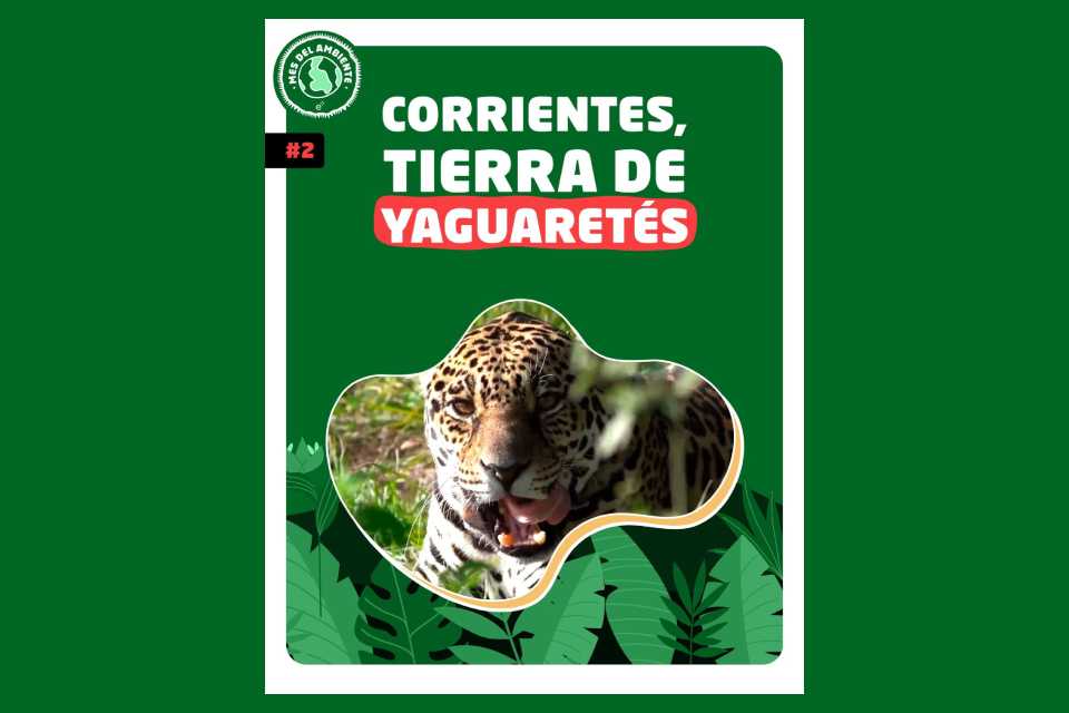 Día Mundial del Ambiente: ocho propuestas audiovisuales