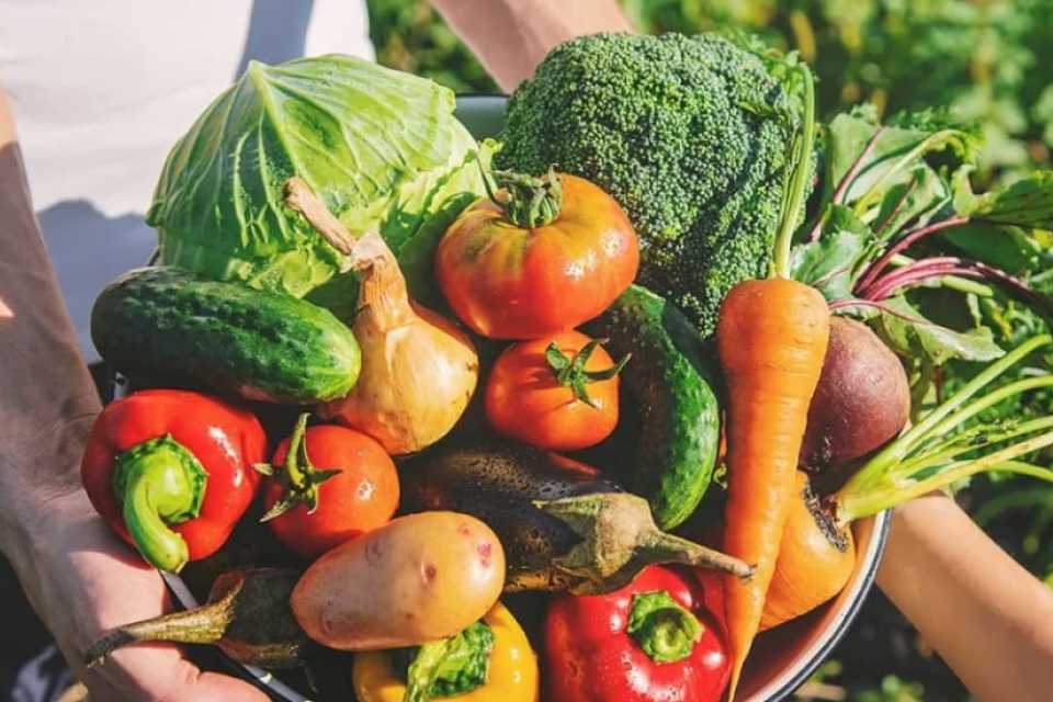 Día de la Gastronomía Sostenible