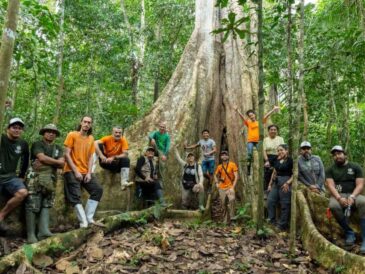 Día de los Bosques Tropicales