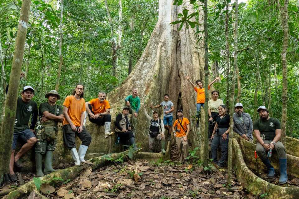 Día de los Bosques Tropicales