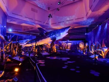 Exposición Monstruos Marinos llegó a Plaza Norte