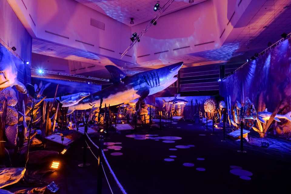 Exposición Monstruos Marinos llegó a Plaza Norte