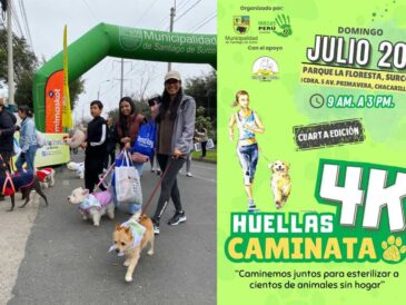 Gran caminata huellas 4K por los animales sin hogar
