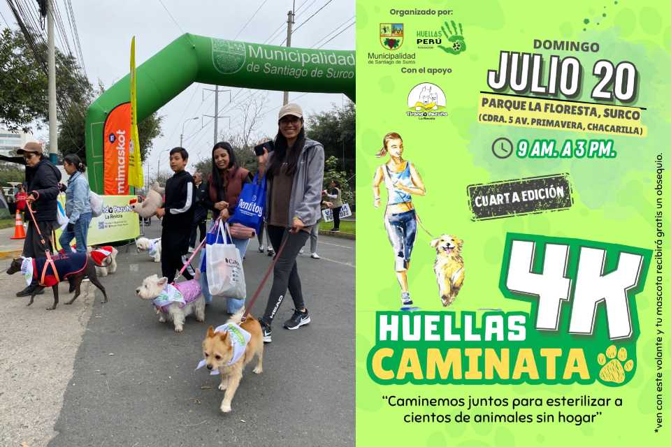 Gran caminata huellas 4K por los animales sin hogar