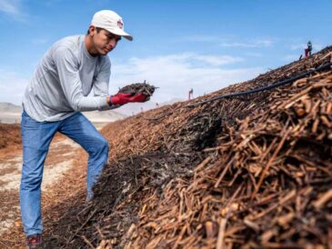 Hortifrut Perú contribuye con el cuidado del medio ambiente