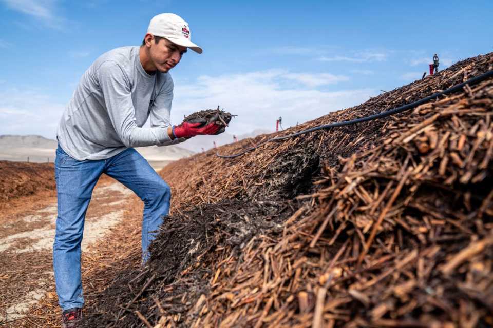 Hortifrut Perú contribuye con el cuidado del medio ambiente