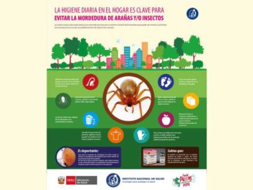 Invierno aumenta riesgo de mordedura de araña casera