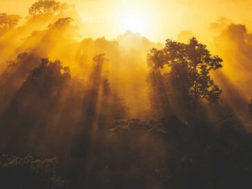 Natura es reconocida como la marca más sustentable del mundo