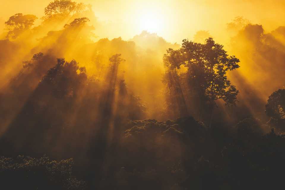 Natura es reconocida como la marca más sustentable del mundo