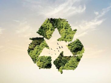 Pluz Energía evitó la emisión de más de 11 mil toneladas de CO2