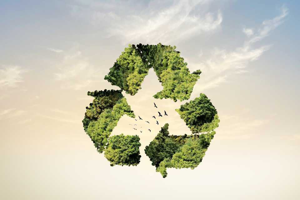 Pluz Energía evitó la emisión de más de 11 mil toneladas de CO2