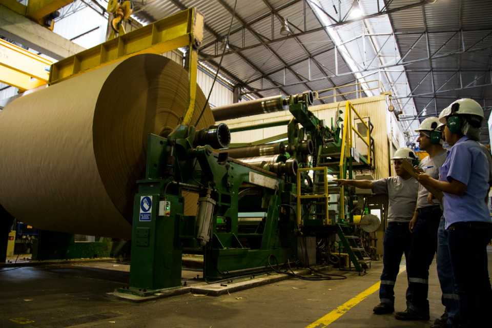 TRUPAL evita la tala de más de 1.5 millones de árboles