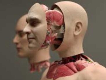 Trasplantes de cabeza con IA y robótica