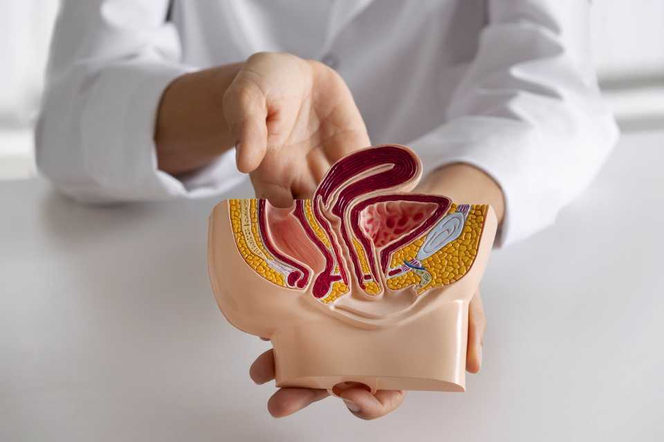 Vasectomía: 6 cosas que debe saber