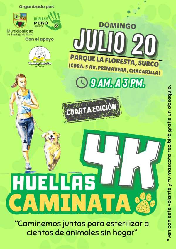 Gran caminata huellas 4K por los animales sin hogar
