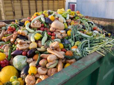 alimentos son desperdiciados