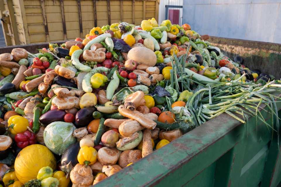 alimentos son desperdiciados