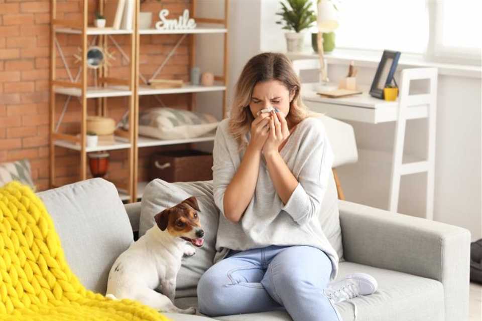 Día Mundial de la Alergia