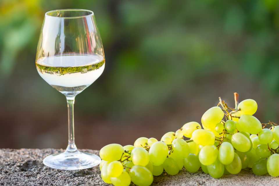 Día Nacional del Pisco