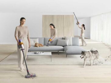 Día mundial del perro: cómo eliminar los pelos de tu mascota