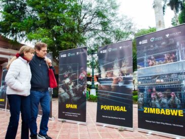 Exposición fotográfica revela malas prácticas en la industria del huevo