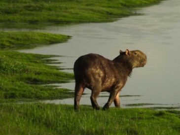La Vorágine llega a HBO Max