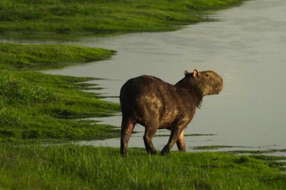 La Vorágine llega a HBO Max