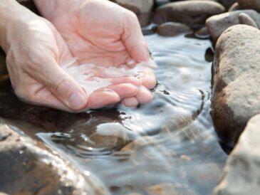 Las industrias podrían reducir el uso de agua