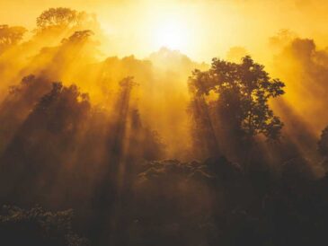 Natura presenta sus compromisos