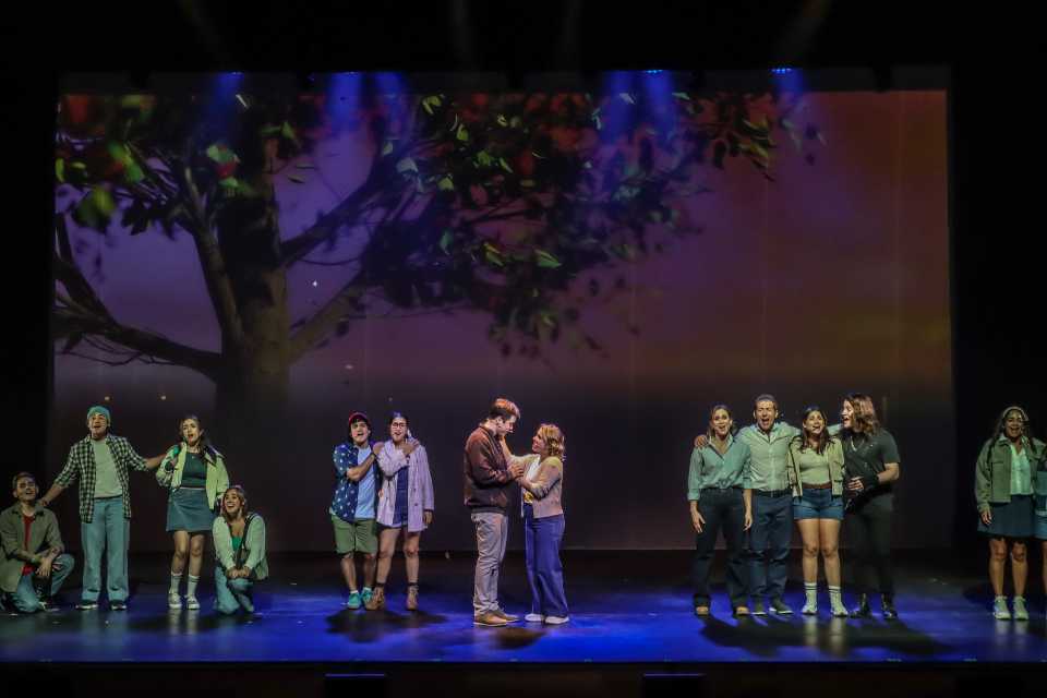 Vuelve QUERIDO EVAN HANSEN: El fenómeno teatral