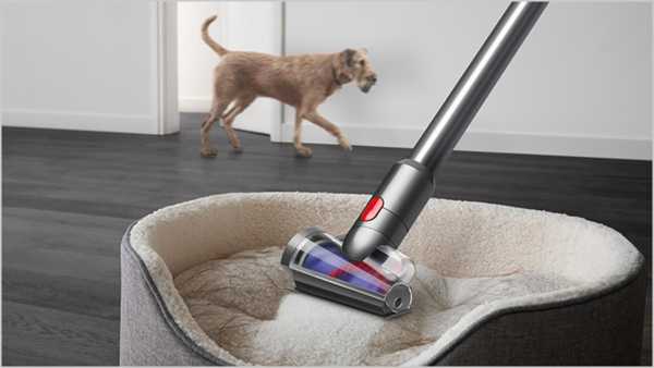 Día mundial del perro: cómo eliminar los pelos de tu mascota