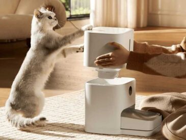 Día del Gato: Cuida a tu engreído con Xiaomi