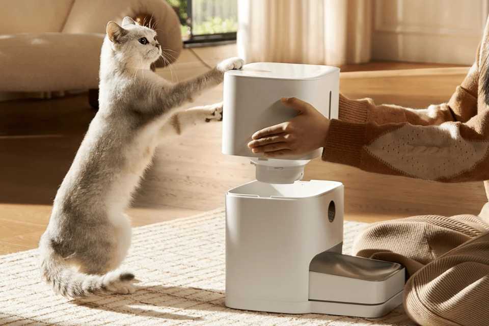 Día del Gato: Cuida a tu engreído con Xiaomi