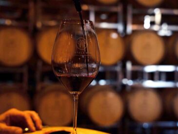 Otto Kunz lanza Destino de Expertos