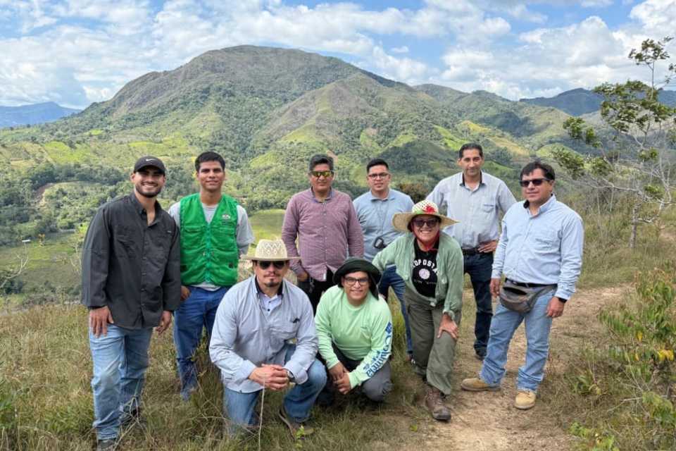Reforestan San Martín con más de 20 mil semillas