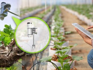 Agricultura: tecnología busca recuperar cultivos