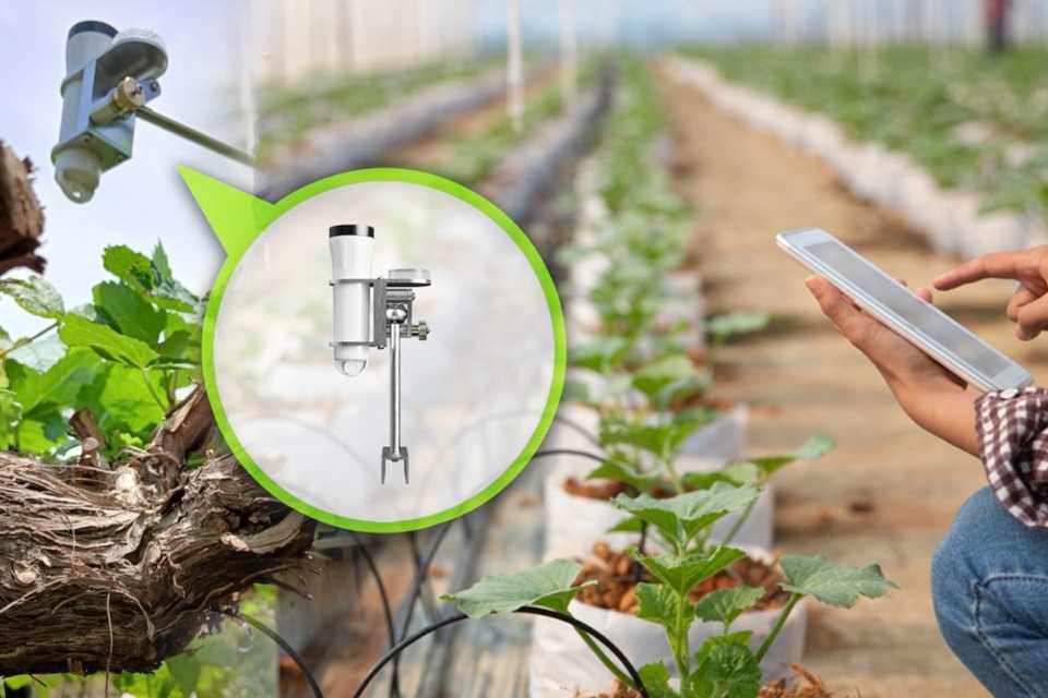 Agricultura: tecnología busca recuperar cultivos
