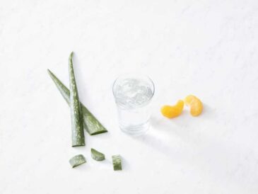 Aloe vera: conoce sus beneficios