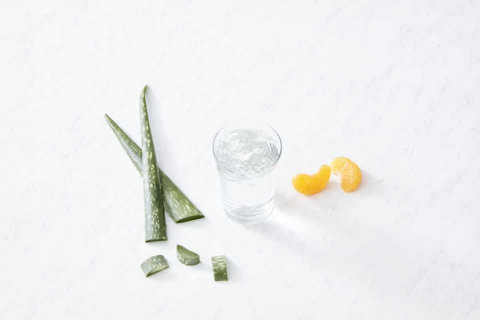 Aloe vera: conoce sus beneficios