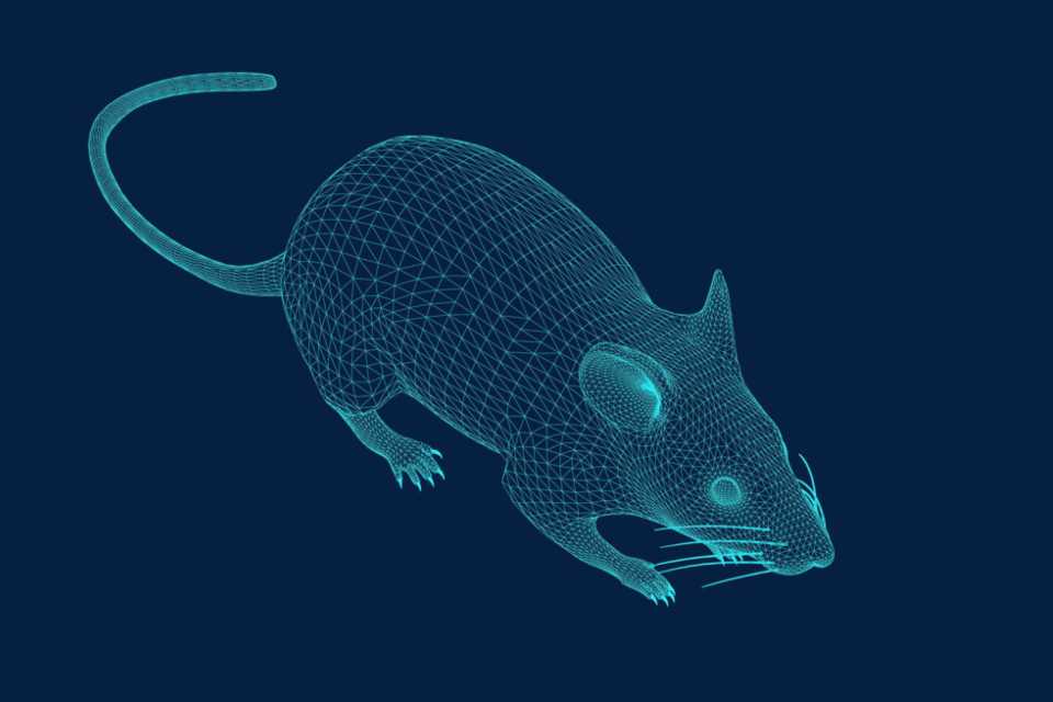 ESET advierte por PDFs maliciosos que circulan en Latinoamérica