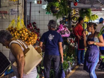 Importar con éxito desde el primer pedido: guía clave para emprendedores