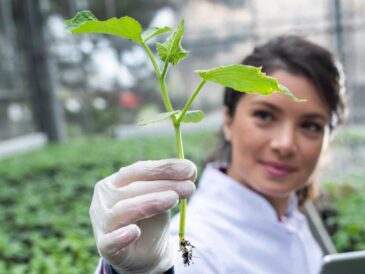 Las tecnologías agrícolas digitales crecen