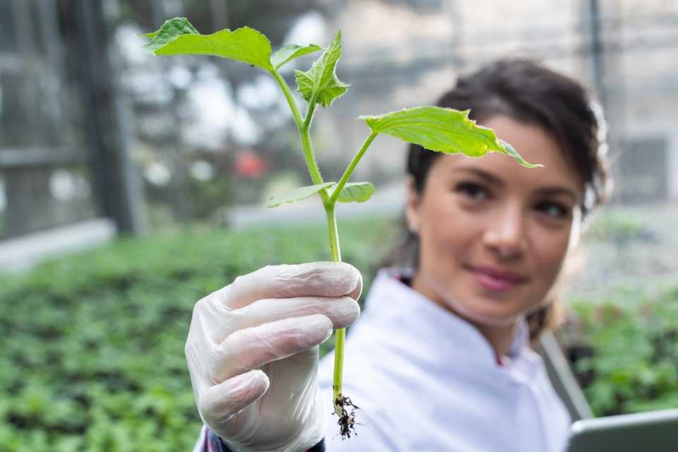 Las tecnologías agrícolas digitales crecen
