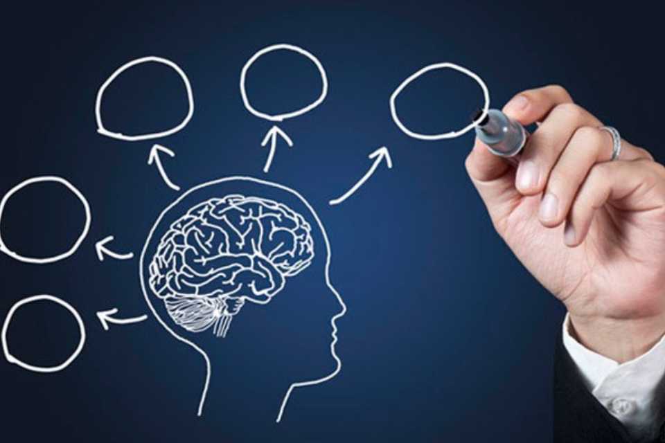 Neurociencia y coaching para potenciar la gestión y el liderazgo