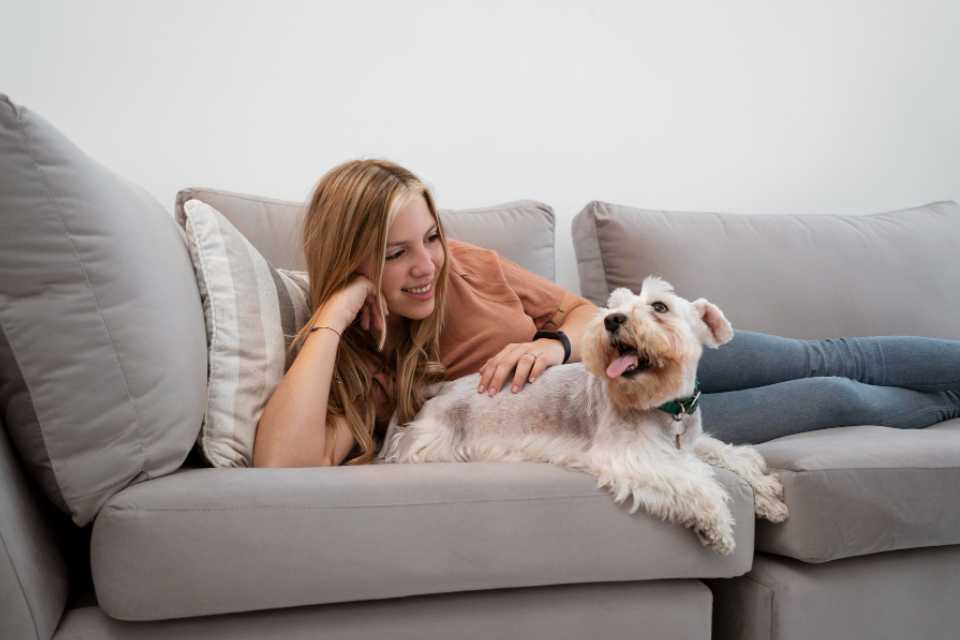 Recomendaciones para recibir un cachorro en casa