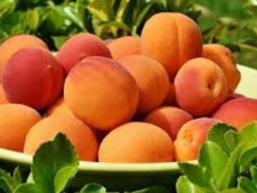 Frutas no aptas para consumo humano