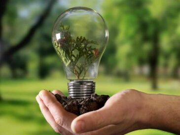 Día Mundial del Ahorro de Energía: el consumo fantasma