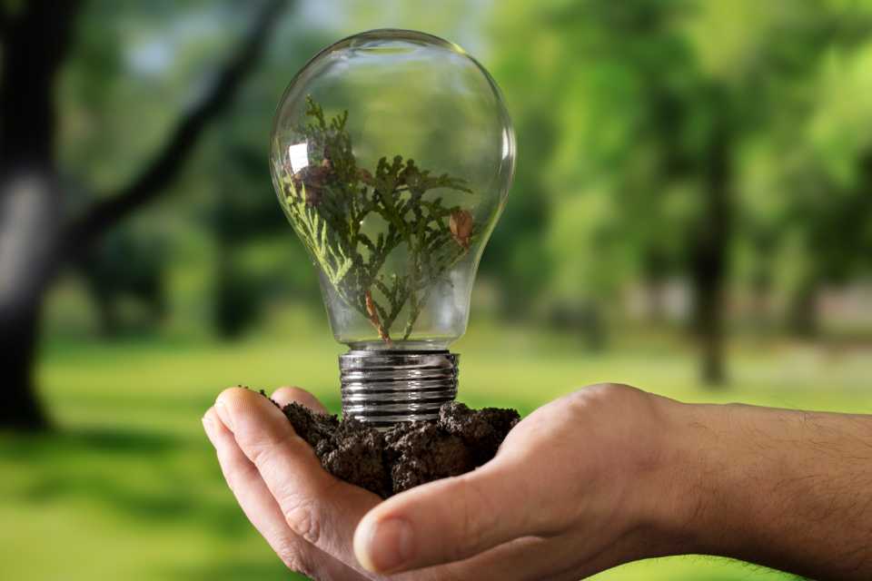 Día Mundial del Ahorro de Energía: el consumo fantasma