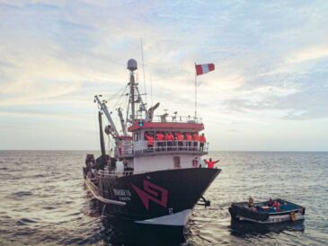 Hayduk fortalece su crecimiento