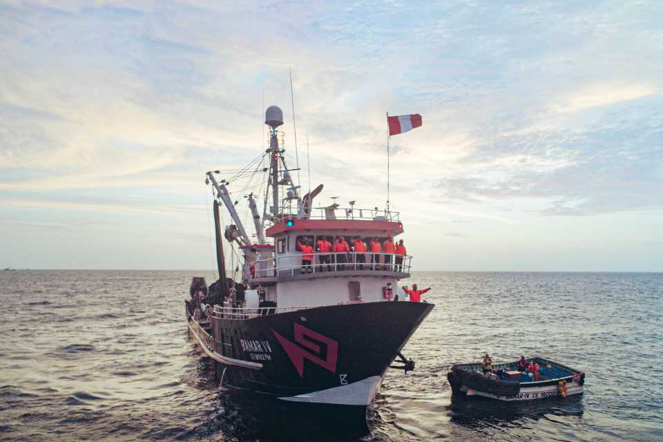 Hayduk fortalece su crecimiento